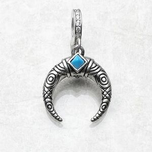 Sterling Silver‎ 925 Native American Eudora Tooth Necklace Pendant